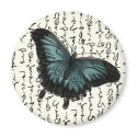 Slate Blue & Black Butterfly on Asian Writing magnets