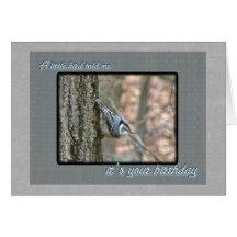 Slate Gray Nuthatch Birthday Songbird Cards