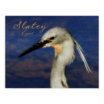 Slatey egret : rare - bird posters, images, prints by Rowood Slatey egret : rare - bird posters, images, prints