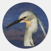 Slatey Egret Sticker