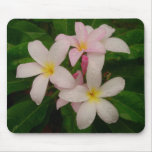 Slaughter Pink Plumeria Mouse Pad