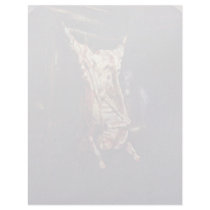 Slaughtered Ox By Rembrandt Harmensz. Van Rijn (Be Letterhead Design
