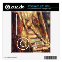 Slaughtered Ox by Rembrandt Harmenszoon van Rijn Skin For The iPod Nano 5G