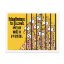 Slaughterhouses - Vegetarian, Vegan Post Cards