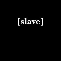 Slave Ladies' Tee t-shirts