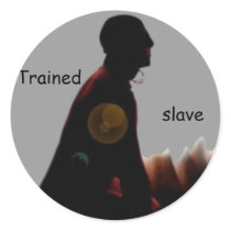 Slave - Submissive Customizable Stickers