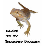Slave to my Bearded Dragon t-shirts