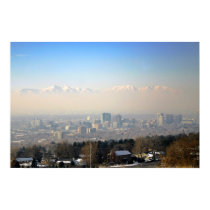 SLC Pollution posters by Freese SLC Pollution posters