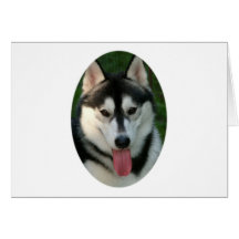Sled Dog Greeting Card