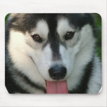 Sled Dog Mouse Pad
