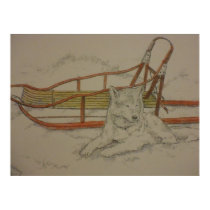 sled dog posters
