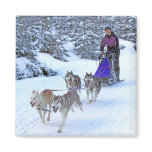 Sled Dog Racing magnets