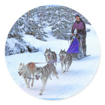 Sled Dog Racing Round Sticker