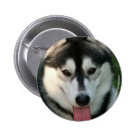 Sled Dog Round Button