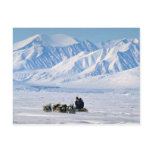 Sled dog travel, Baffin Island Post Card