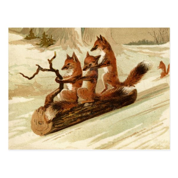 Sledding Foxes Vintage Christmas Postcard