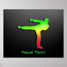 Sleek Martial Arts Posters