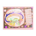 Sleep Cartoonish Info Postcards