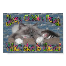 Sleep, cuddle, purr! posters