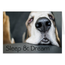 Sleep & Dream Card cards
