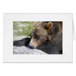 Sleep Tight Greeting Cards
