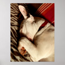 Sleep Tight Print