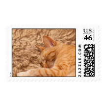 sleeping again stamps
