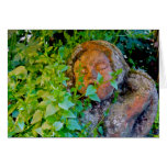 Sleeping Angel - Card Sleeping Angel - Card