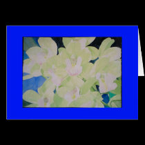 sleeping angel orchids cards