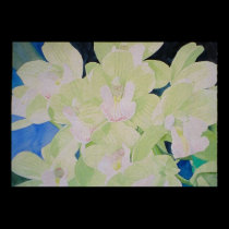 sleeping angel orchids posters