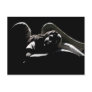 Sleeping Angel Postcard