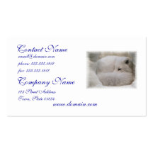 Sleeping Arctic Fox Business Card Template