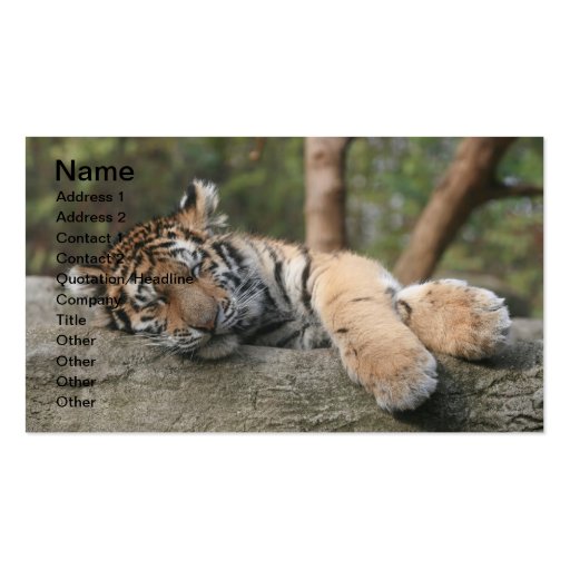 Sleeping Baby Tiger Business Card