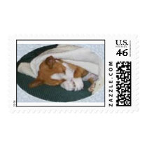 sleeping Basenji postage stamp