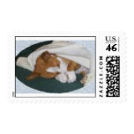sleeping Basenji postage stamp
