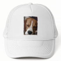 Sleeping Beagle Baseball Cap Mesh Hats