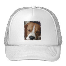 Sleeping Beagle Baseball Cap Mesh Hats