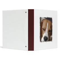 Sleeping Beagle Dog Binder