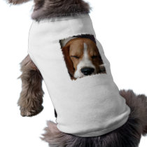 Sleeping Beagle Dog Shirt
