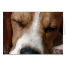 Sleeping Beagle Greeting Card