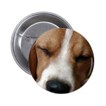 Sleeping Beagle Round Button
