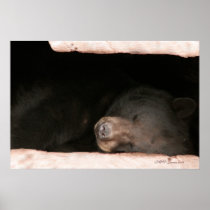 Sleeping Bear 2 posters