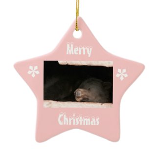 Sleeping Bear Ornament ornament