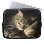 Sleeping Beauty electronics bags