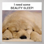 SLEEPING BEAUTY posters