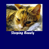 Sleeping Beauty t-shirts