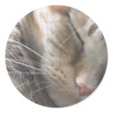 Sleeping Beauty stickers