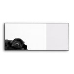 Sleeping Black Puppy Envelopes