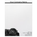 Sleeping Black Puppy Letterhead