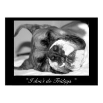Sleeping boxer poster posters